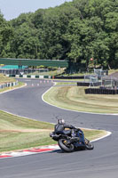 Advanced Group Black Bikes