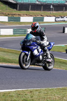 Lower Group Blue Bikes