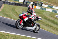 Lower Group Multicolour Bikes