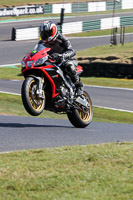 Lower Group Red Bikes