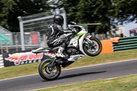 Lower Group White Bikes