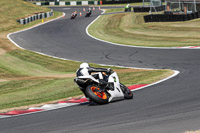 Lower Group White Bikes