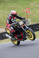 Middle Group Black Bikes