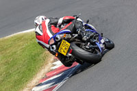 Middle Group Blue Bikes