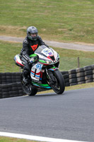 Middle Group Multicolour Bikes