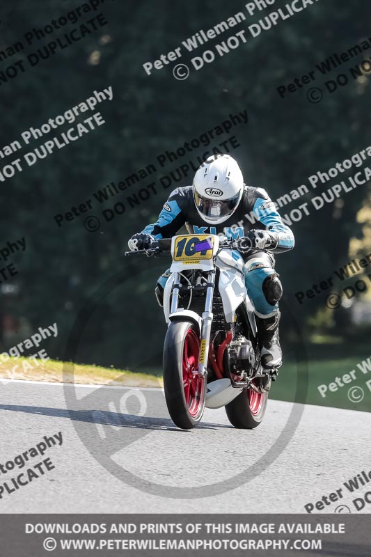 cadwell no limits trackday;cadwell park;cadwell park photographs;cadwell trackday photographs;enduro digital images;event digital images;eventdigitalimages;no limits trackdays;peter wileman photography;racing digital images;trackday digital images;trackday photos