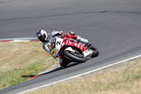 anglesey;brands-hatch;cadwell-park;croft;donington-park;enduro-digital-images;event-digital-images;eventdigitalimages;mallory;no-limits;oulton-park;peter-wileman-photography;racing-digital-images;silverstone;snetterton;trackday-digital-images;trackday-photos;vmcc-banbury-run;welsh-2-day-enduro