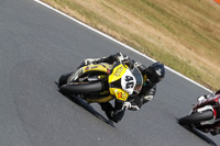 anglesey;brands-hatch;cadwell-park;croft;donington-park;enduro-digital-images;event-digital-images;eventdigitalimages;mallory;no-limits;oulton-park;peter-wileman-photography;racing-digital-images;silverstone;snetterton;trackday-digital-images;trackday-photos;vmcc-banbury-run;welsh-2-day-enduro