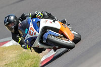 anglesey;brands-hatch;cadwell-park;croft;donington-park;enduro-digital-images;event-digital-images;eventdigitalimages;mallory;no-limits;oulton-park;peter-wileman-photography;racing-digital-images;silverstone;snetterton;trackday-digital-images;trackday-photos;vmcc-banbury-run;welsh-2-day-enduro
