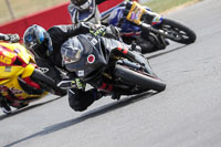 Middle Group Black Bikes