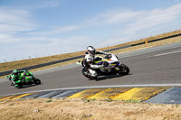anglesey-no-limits-trackday;anglesey-photographs;anglesey-trackday-photographs;enduro-digital-images;event-digital-images;eventdigitalimages;no-limits-trackdays;peter-wileman-photography;racing-digital-images;trac-mon;trackday-digital-images;trackday-photos;ty-croes