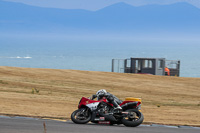 anglesey-no-limits-trackday;anglesey-photographs;anglesey-trackday-photographs;enduro-digital-images;event-digital-images;eventdigitalimages;no-limits-trackdays;peter-wileman-photography;racing-digital-images;trac-mon;trackday-digital-images;trackday-photos;ty-croes