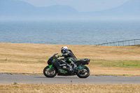 anglesey-no-limits-trackday;anglesey-photographs;anglesey-trackday-photographs;enduro-digital-images;event-digital-images;eventdigitalimages;no-limits-trackdays;peter-wileman-photography;racing-digital-images;trac-mon;trackday-digital-images;trackday-photos;ty-croes