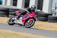 anglesey-no-limits-trackday;anglesey-photographs;anglesey-trackday-photographs;enduro-digital-images;event-digital-images;eventdigitalimages;no-limits-trackdays;peter-wileman-photography;racing-digital-images;trac-mon;trackday-digital-images;trackday-photos;ty-croes