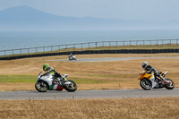 anglesey-no-limits-trackday;anglesey-photographs;anglesey-trackday-photographs;enduro-digital-images;event-digital-images;eventdigitalimages;no-limits-trackdays;peter-wileman-photography;racing-digital-images;trac-mon;trackday-digital-images;trackday-photos;ty-croes