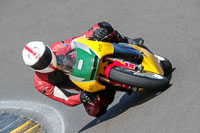 anglesey-no-limits-trackday;anglesey-photographs;anglesey-trackday-photographs;enduro-digital-images;event-digital-images;eventdigitalimages;no-limits-trackdays;peter-wileman-photography;racing-digital-images;trac-mon;trackday-digital-images;trackday-photos;ty-croes