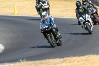 enduro-digital-images;event-digital-images;eventdigitalimages;no-limits-trackdays;peter-wileman-photography;racing-digital-images;snetterton;snetterton-no-limits-trackday;snetterton-photographs;snetterton-trackday-photographs;trackday-digital-images;trackday-photos