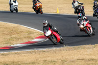 enduro-digital-images;event-digital-images;eventdigitalimages;no-limits-trackdays;peter-wileman-photography;racing-digital-images;snetterton;snetterton-no-limits-trackday;snetterton-photographs;snetterton-trackday-photographs;trackday-digital-images;trackday-photos
