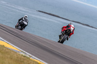 PJ-Motorsport;anglesey;anglesey-no-limits-trackday;anglesey-photographs;anglesey-trackday-photographs;enduro-digital-images;event-digital-images;eventdigitalimages;no-limits-trackdays;peter-wileman-photography;racing-digital-images;trac-mon;trackday-digital-images;trackday-photos;ty-croes