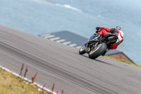 PJ-Motorsport;anglesey;anglesey-no-limits-trackday;anglesey-photographs;anglesey-trackday-photographs;enduro-digital-images;event-digital-images;eventdigitalimages;no-limits-trackdays;peter-wileman-photography;racing-digital-images;trac-mon;trackday-digital-images;trackday-photos;ty-croes