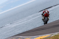 PJ-Motorsport;anglesey;anglesey-no-limits-trackday;anglesey-photographs;anglesey-trackday-photographs;enduro-digital-images;event-digital-images;eventdigitalimages;no-limits-trackdays;peter-wileman-photography;racing-digital-images;trac-mon;trackday-digital-images;trackday-photos;ty-croes