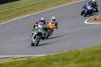 Angelsey;PJ-Motorsport;anglesey-no-limits-trackday;anglesey-photographs;anglesey-trackday-photographs;enduro-digital-images;event-digital-images;eventdigitalimages;no-limits-trackdays;peter-wileman-photography;racing-digital-images;trac-mon;trackday-digital-images;trackday-photos;ty-croes