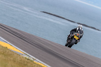 PJ-Motorsport;anglesey;anglesey-no-limits-trackday;anglesey-photographs;anglesey-trackday-photographs;enduro-digital-images;event-digital-images;eventdigitalimages;no-limits-trackdays;peter-wileman-photography;racing-digital-images;trac-mon;trackday-digital-images;trackday-photos;ty-croes