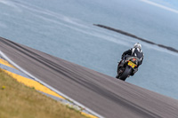 PJ-Motorsport;anglesey;anglesey-no-limits-trackday;anglesey-photographs;anglesey-trackday-photographs;enduro-digital-images;event-digital-images;eventdigitalimages;no-limits-trackdays;peter-wileman-photography;racing-digital-images;trac-mon;trackday-digital-images;trackday-photos;ty-croes