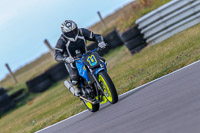 Angelsey;PJ-Motorsport