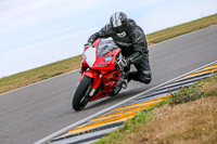 Angelsey;PJ-Motorsport
