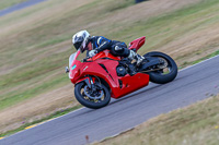 Angelsey;PJ-Motorsport
