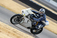 Evening Low/Mid Group White Bikes