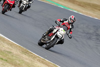 brands-hatch-photographs;brands-no-limits-trackday;cadwell-trackday-photographs;enduro-digital-images;event-digital-images;eventdigitalimages;no-limits-trackdays;peter-wileman-photography;racing-digital-images;trackday-digital-images;trackday-photos