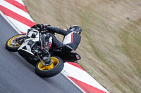 Middle Blue Group Multicolour Bikes