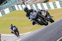Black Bikes