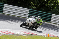 cadwell-no-limits-trackday;cadwell-park;cadwell-park-photographs;cadwell-trackday-photographs;enduro-digital-images;event-digital-images;eventdigitalimages;no-limits-trackdays;peter-wileman-photography;racing-digital-images;trackday-digital-images;trackday-photos