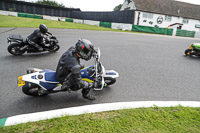 enduro-digital-images;event-digital-images;eventdigitalimages;mallory-park;mallory-park-photographs;mallory-park-trackday;mallory-park-trackday-photographs;no-limits-trackdays;peter-wileman-photography;racing-digital-images;trackday-digital-images;trackday-photos