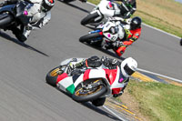 anglesey-no-limits-trackday;anglesey-photographs;anglesey-trackday-photographs;enduro-digital-images;event-digital-images;eventdigitalimages;no-limits-trackdays;peter-wileman-photography;racing-digital-images;trac-mon;trackday-digital-images;trackday-photos;ty-croes