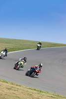 anglesey-no-limits-trackday;anglesey-photographs;anglesey-trackday-photographs;enduro-digital-images;event-digital-images;eventdigitalimages;no-limits-trackdays;peter-wileman-photography;racing-digital-images;trac-mon;trackday-digital-images;trackday-photos;ty-croes