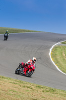 anglesey-no-limits-trackday;anglesey-photographs;anglesey-trackday-photographs;enduro-digital-images;event-digital-images;eventdigitalimages;no-limits-trackdays;peter-wileman-photography;racing-digital-images;trac-mon;trackday-digital-images;trackday-photos;ty-croes