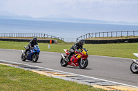 anglesey-no-limits-trackday;anglesey-photographs;anglesey-trackday-photographs;enduro-digital-images;event-digital-images;eventdigitalimages;no-limits-trackdays;peter-wileman-photography;racing-digital-images;trac-mon;trackday-digital-images;trackday-photos;ty-croes