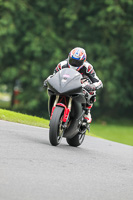 Evening Adv/Mid Group Black Bikes