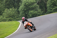 Evening Adv/Mid Group Orange Bikes