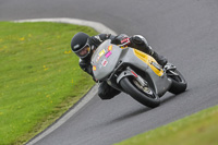 Evening Adv/Mid Group Silver/Grey Bikes