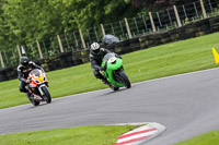 Middle  Group Green Bikes