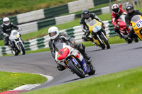 cadwell-no-limits-trackday;cadwell-park;cadwell-park-photographs;cadwell-trackday-photographs;enduro-digital-images;event-digital-images;eventdigitalimages;no-limits-trackdays;peter-wileman-photography;racing-digital-images;trackday-digital-images;trackday-photos