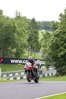 Middle Group Multicolour Bikes