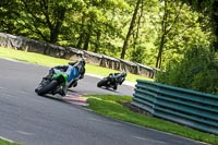 cadwell-no-limits-trackday;cadwell-park;cadwell-park-photographs;cadwell-trackday-photographs;enduro-digital-images;event-digital-images;eventdigitalimages;no-limits-trackdays;peter-wileman-photography;racing-digital-images;trackday-digital-images;trackday-photos