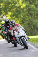 cadwell-no-limits-trackday;cadwell-park;cadwell-park-photographs;cadwell-trackday-photographs;enduro-digital-images;event-digital-images;eventdigitalimages;no-limits-trackdays;peter-wileman-photography;racing-digital-images;trackday-digital-images;trackday-photos