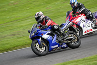 Lower Group Blue Bikes